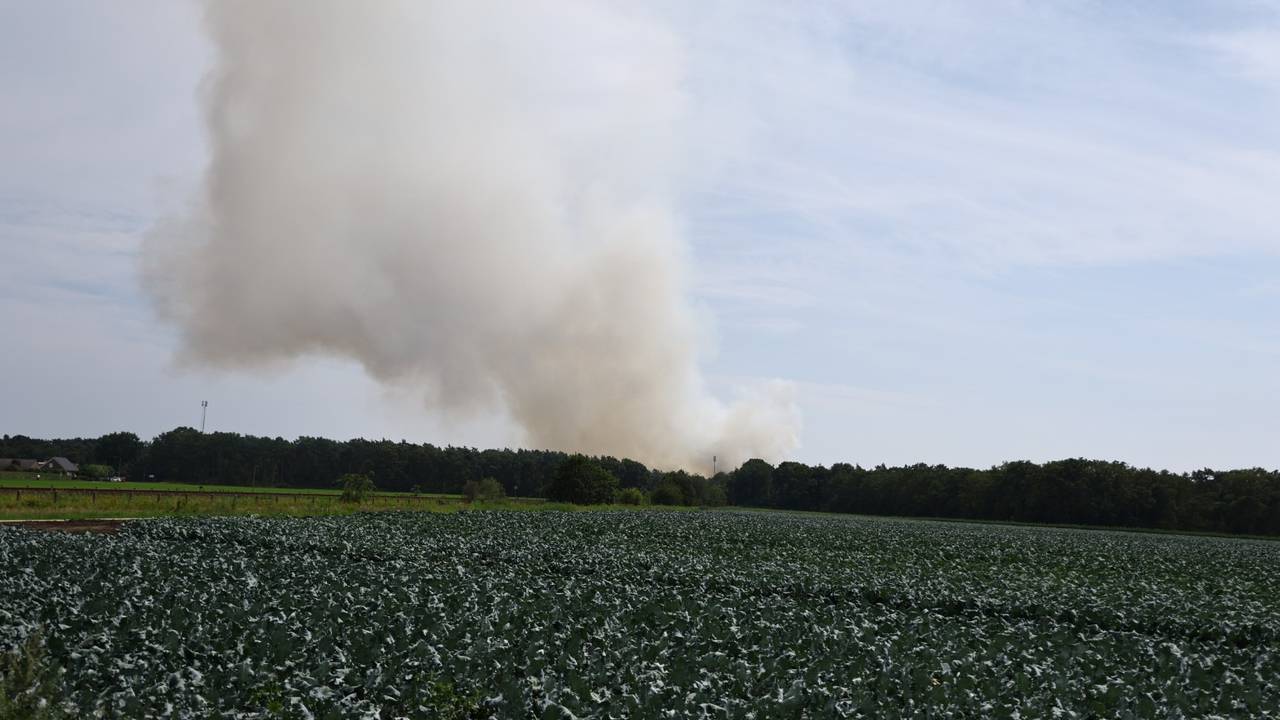 Grote bosbrand in Limburg is te ruiken in het Land van Cuijk (foto: SK-Media / Persbureau Heitink).