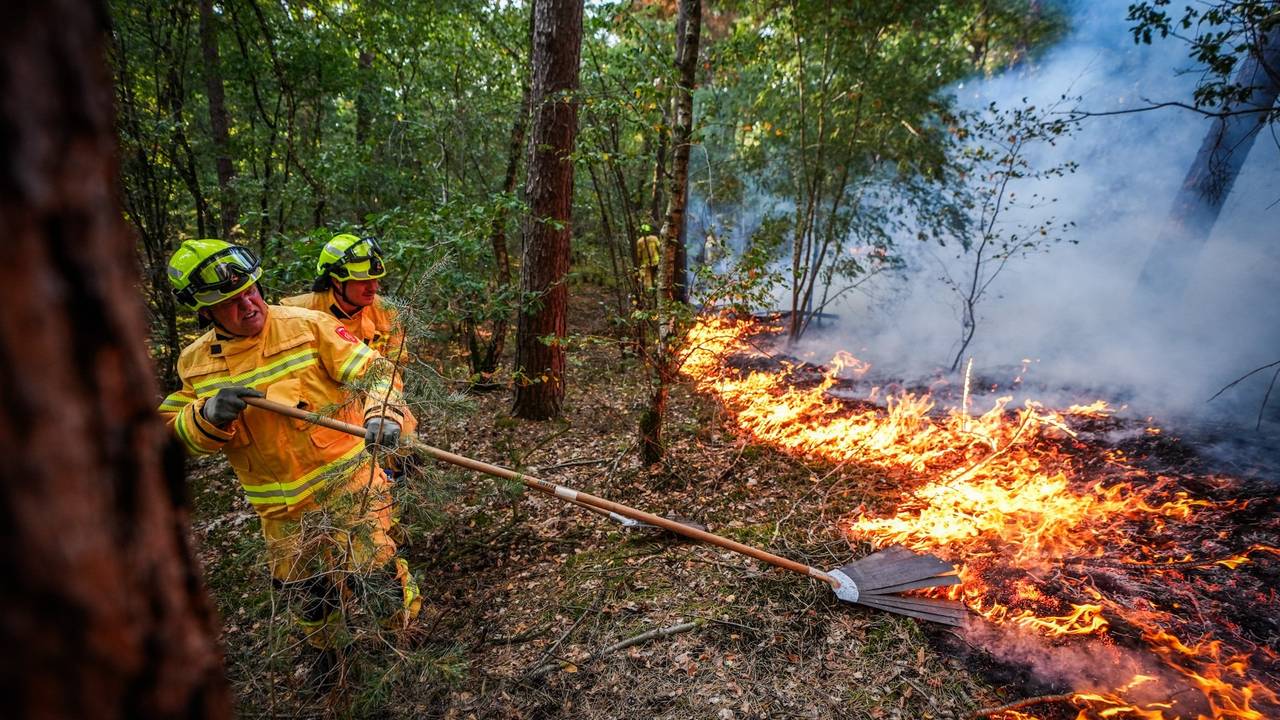 Handcrew Zuid-Nederland helpt bij brand in Limburg (foto: SQ Vision).