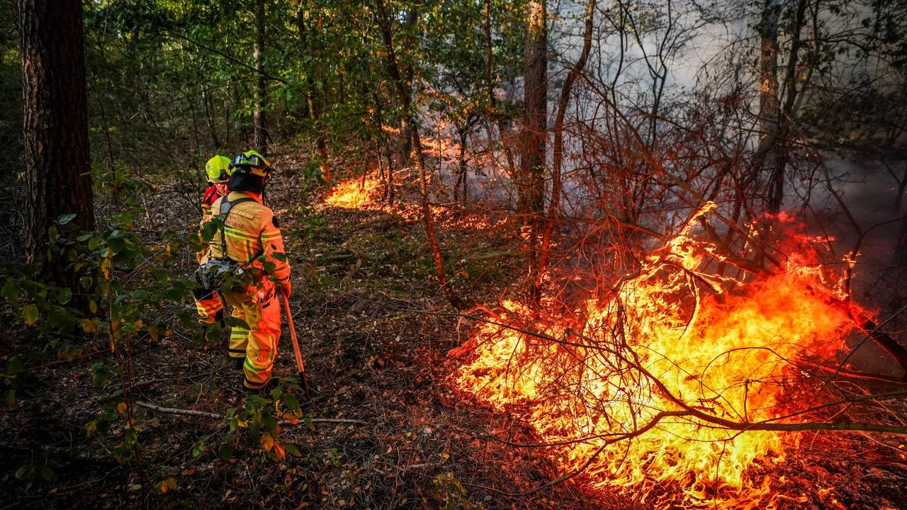 Handcrew Zuid-Nederland helpt bij brand in Limburg (foto: SQ Vision).