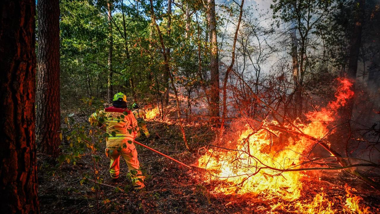 Handcrew Zuid-Nederland helpt bij brand in Limburg (foto: SQ Vision).