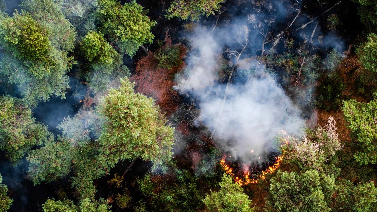 Natuurbrand bij Venray stabiel vandaag, nog niet onder controle (foto: ANP).