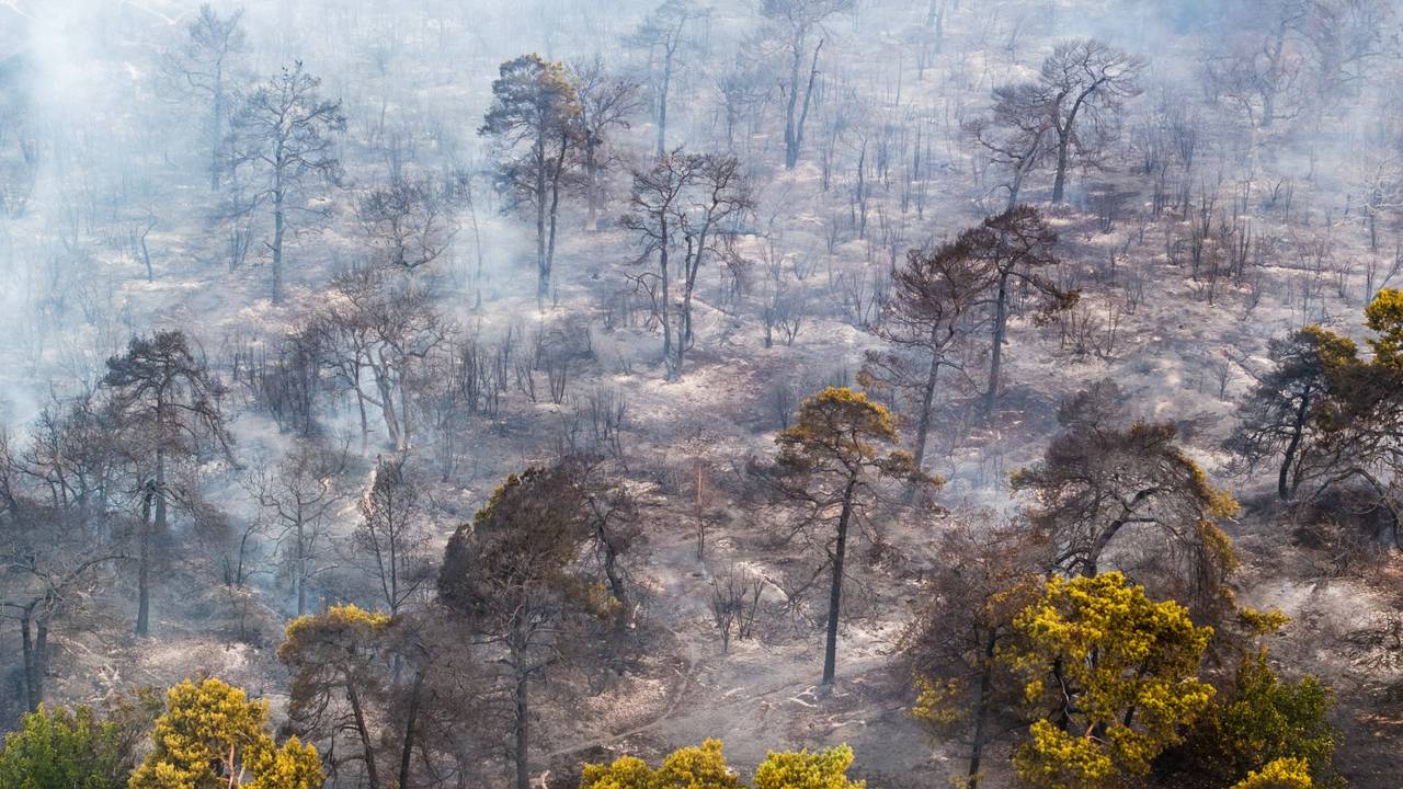 Natuurbrand bij Venray stabiel vandaag, nog niet onder controle (foto: ANP).