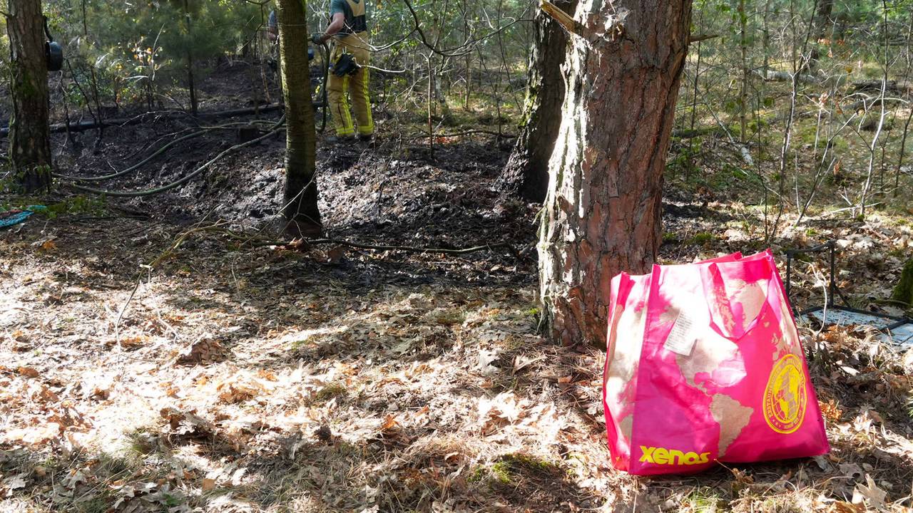 Brand in het bos tussen Helmond en Deurne