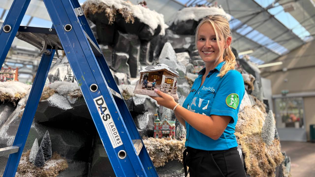 Met 32 graden aan de slag voor kerst: duizenden bomen voor deze kerstshow