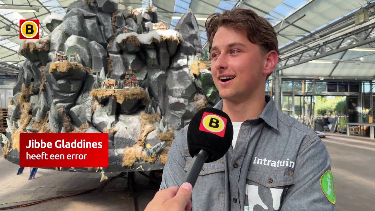 Met 32 graden aan de slag voor kerst: duizenden bomen voor deze kerstshow