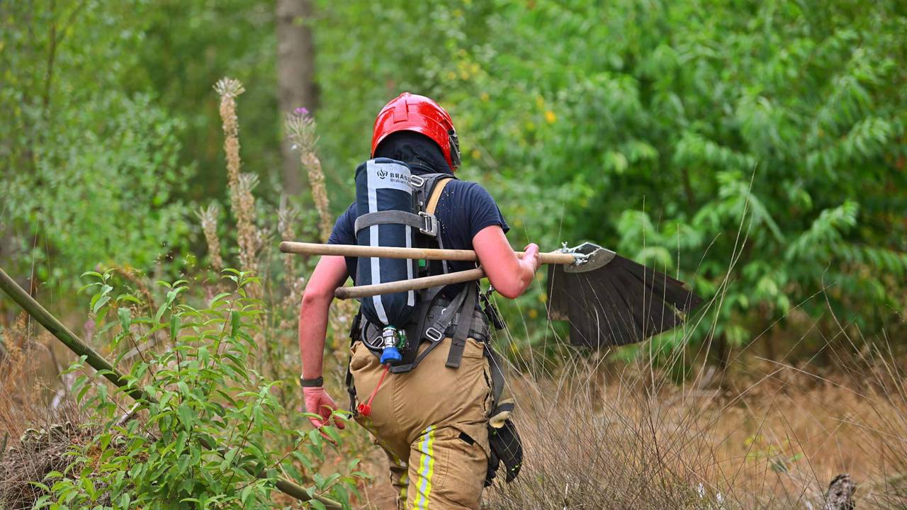 Bosbrand in Bergeijk (foto: Rico Vogels/Persbureau Heitink).