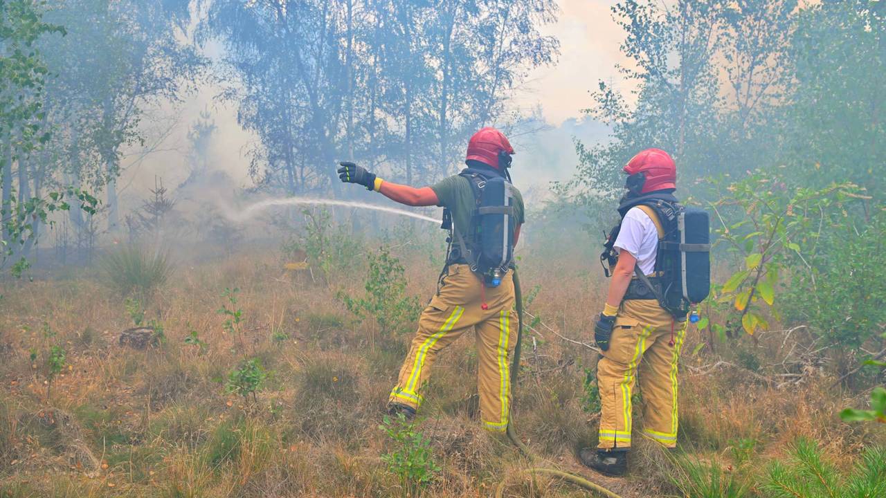 Bosbrand in Bergeijk (foto: Rico Vogels/Persbureau Heitink).
