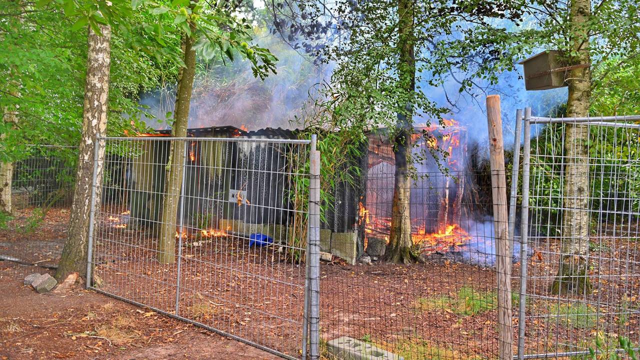 Foto: Rico Vogels/Persbureau Heitink.