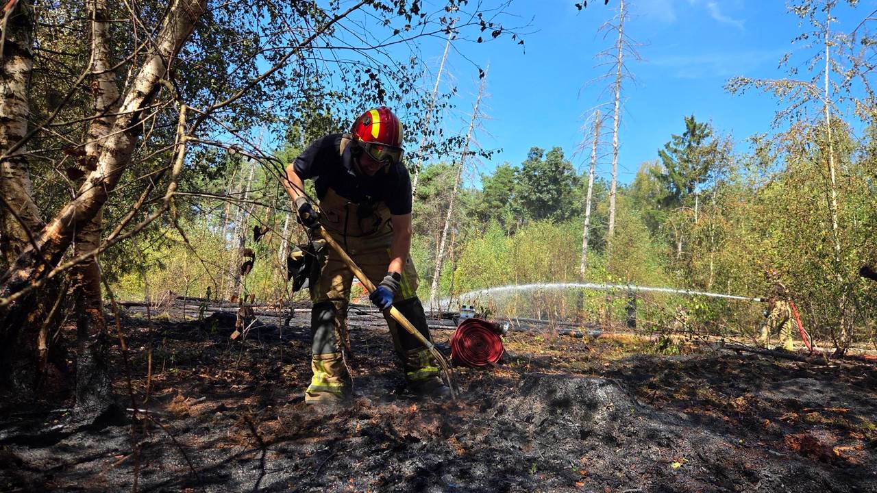 Bosbrand bij Valkenswaard laait weer op, bomen uit voorzorg gekapt