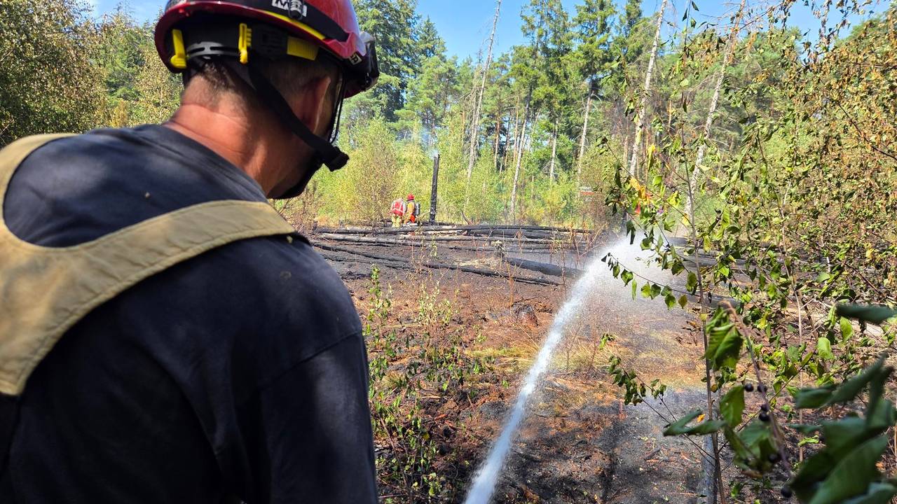 De bosbrand bij Valkenswaard laaide zaterdag opnieuw op (foto: Omroep Brabant).