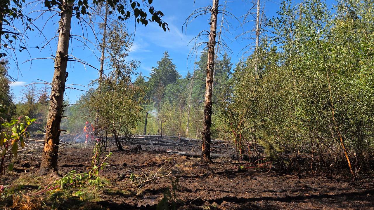 Bosbrand bij Valkenswaard laait weer op, bomen uit voorzorg gekapt