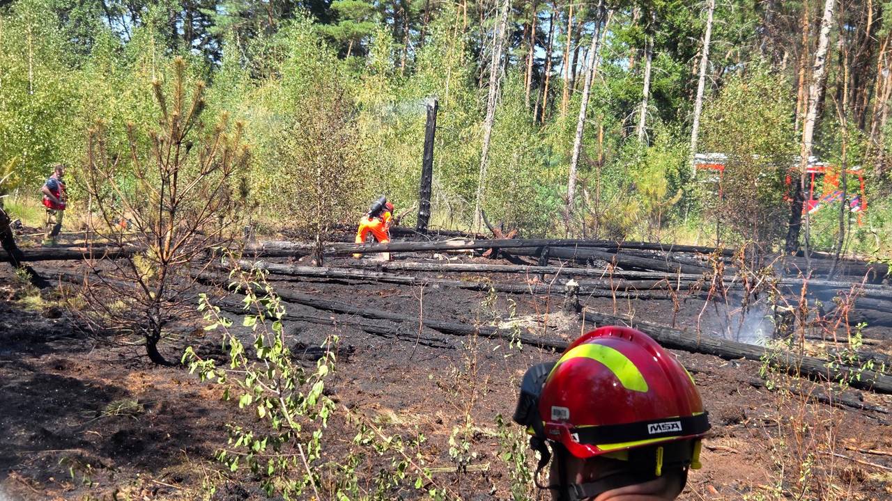 De bosbrand bij Valkenswaard laaide zaterdag opnieuw op (foto: Omroep Brabant).