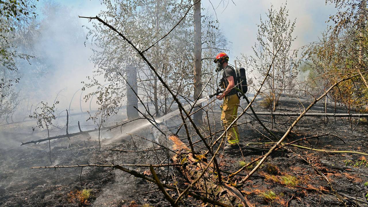 De bosbrand bij Valkenswaard laaide zaterdag opnieuw op (foto: Rico Vogels / Persbureau Heitink).