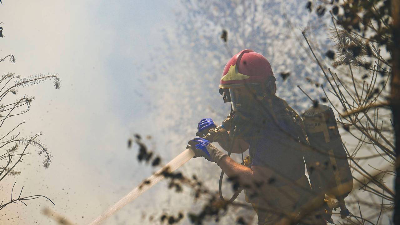 Bosbrand bij Valkenswaard laait weer op, bomen uit voorzorg gekapt