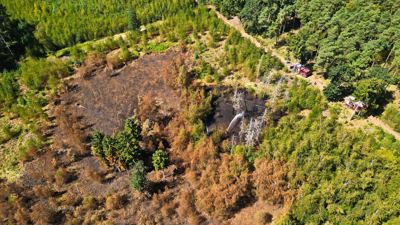 De bosbrand bij Valkenswaard laaide zaterdag opnieuw op (foto: Rico Vogels / Persbureau Heitink).