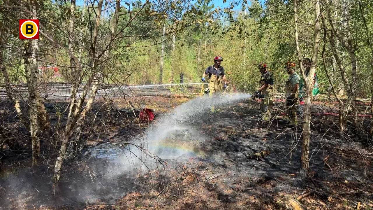 Bosbrand bij Valkenswaard laait weer op, bomen uit voorzorg gekapt