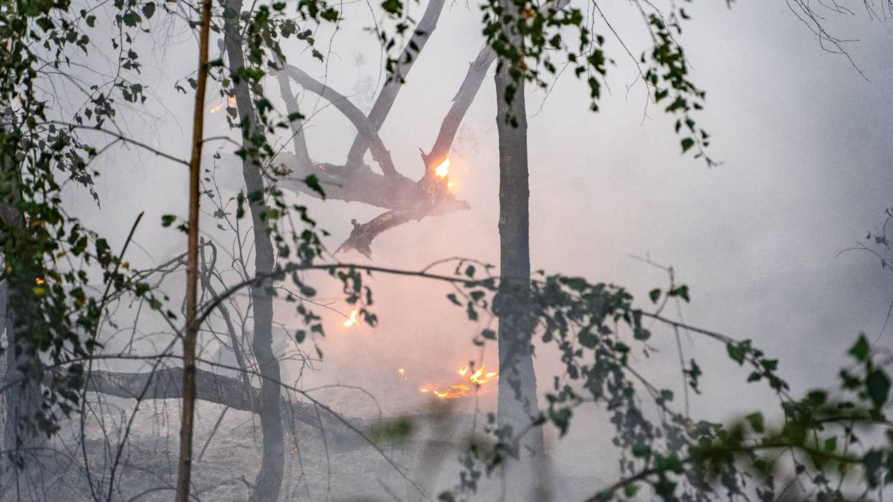 Bij de brand in natuurgebied Herperduin komt veel rook vrij (foto: Lucas Lammers/Persbureau Heitink).