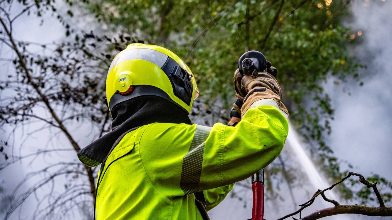 De brandweer is met veel voertuigen aanwezig in natuurgebied Herperduin om het vuur te blussen (foto: Lucas Lammers/Persbureau Heitink).