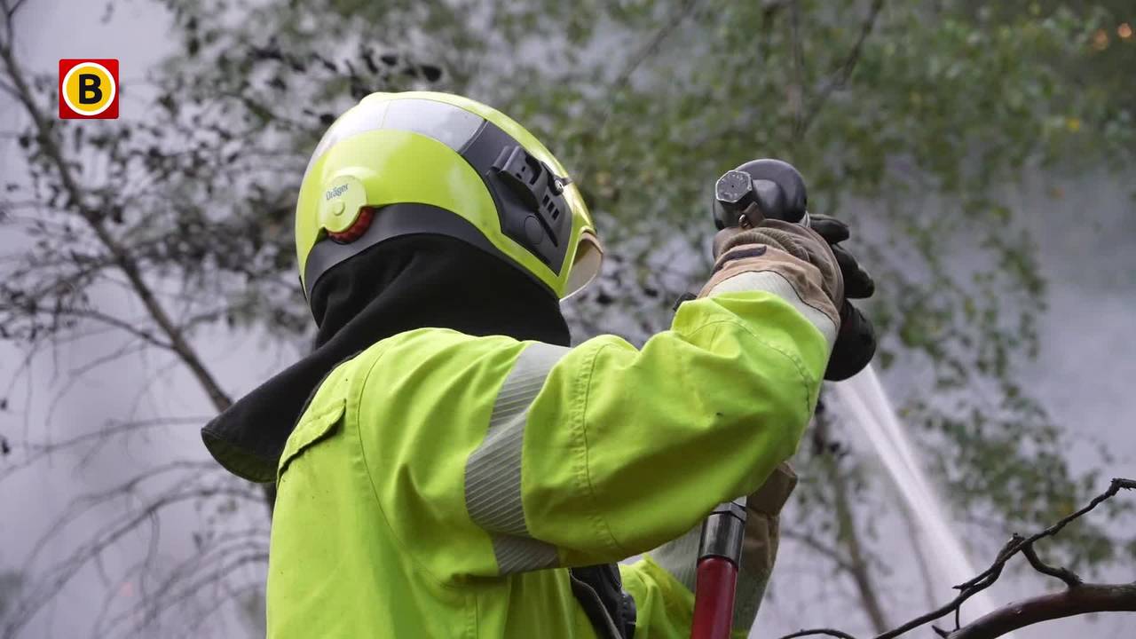 Fikse brand in natuurgebied Herperduin bij Oss is onder controle