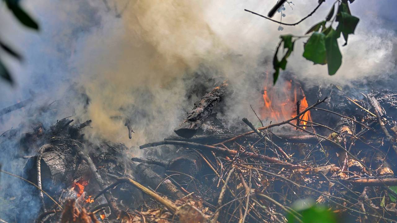 Foto: Rico Vogels/Persbureau Heitink.