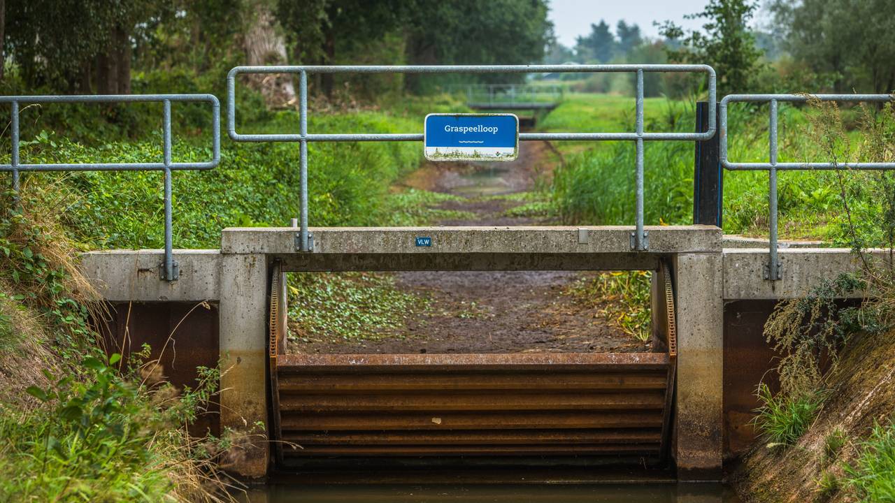 24 nieuwe stuwen moeten helpen tegen droogte: 'Elke druppel telt'