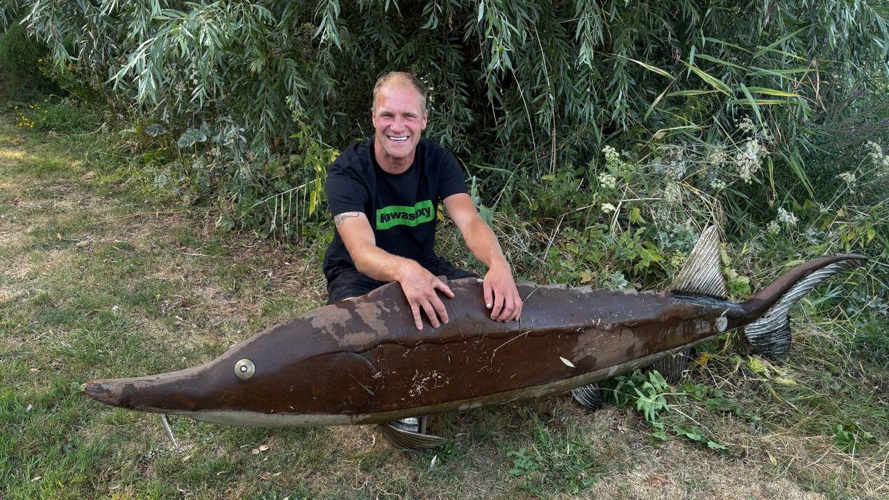 Gestolen vis van 70 kilo na weken gevonden in vijver: 'Heeft iets grappigs'