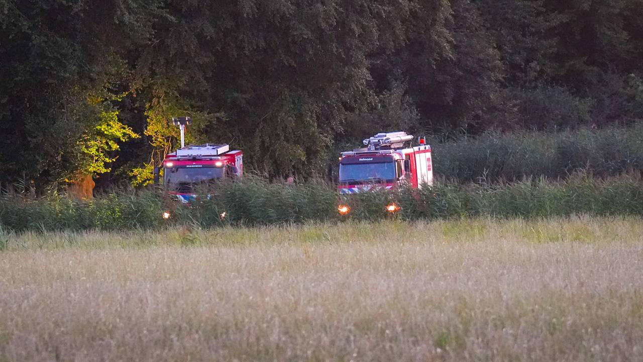 De brand in de bossen bij Helmond was snel onder controle (foto: Harrie Grijseels/Persbureau Heitink).