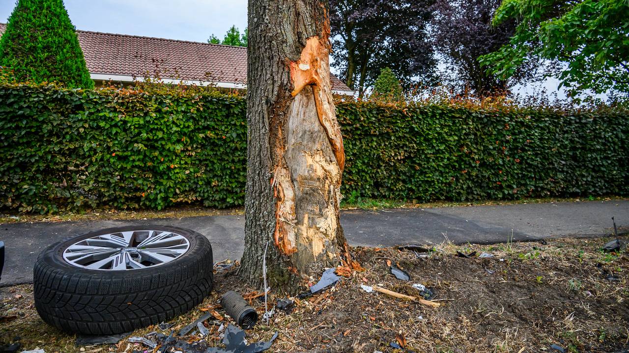 De boom raakte flink beschadigd (foto: Tom van der Put/Persbureau Heitink).