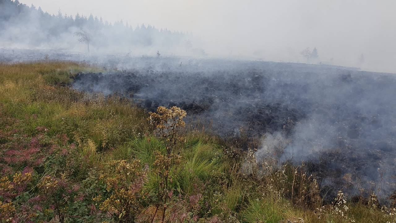 De natuurbrand in de Hoge Venen (foto: Laurent Cavenati/AFP).