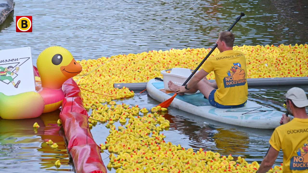 Duizenden badeendjes strijden in Bredase haven voor het goede doel