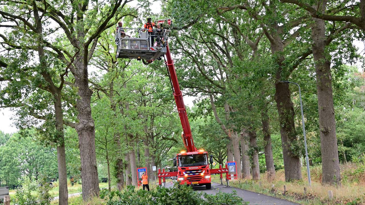 Foto: Perry Roovers / Persbureau Heitink 