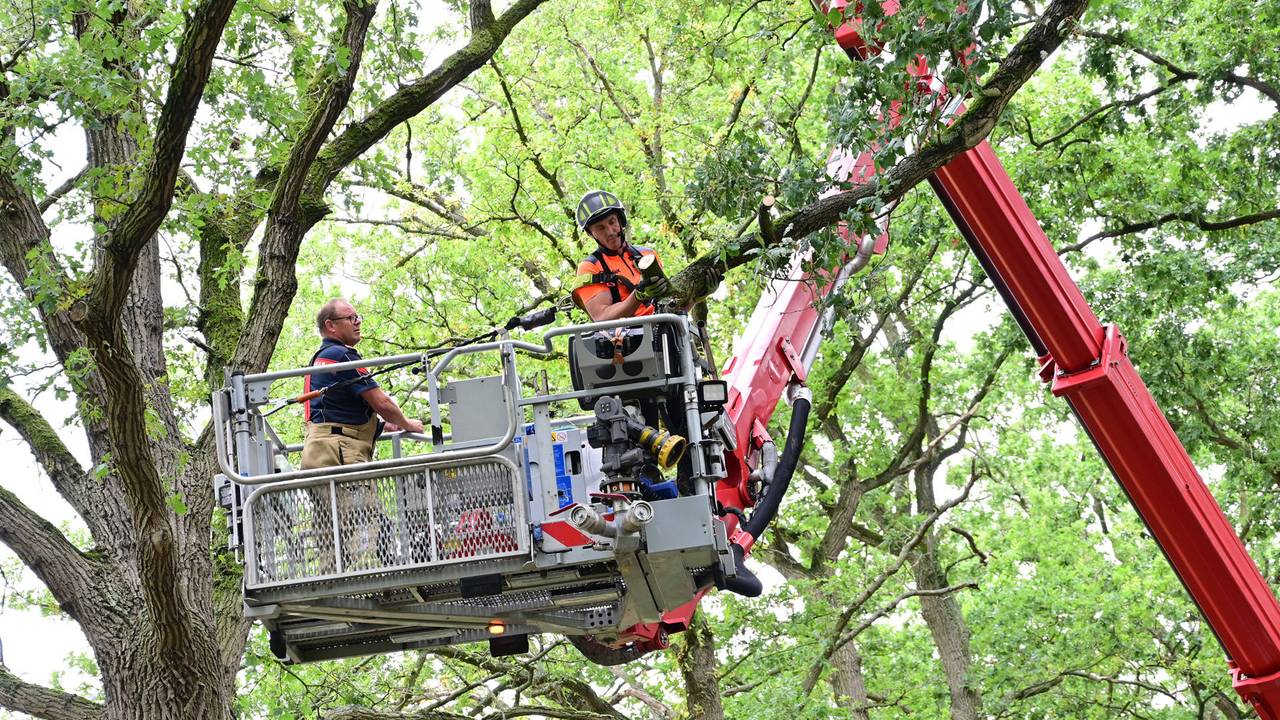 Grote afgebroken tak weggehaald door brandweer, zorgde voor gevaar