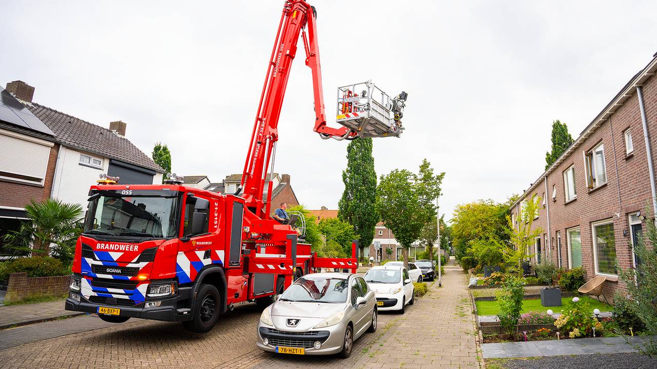 De brandweer werd ingeschakeld om kat Fendi van het dak te halen (foto: Gabor Heeres/SQ Vision).