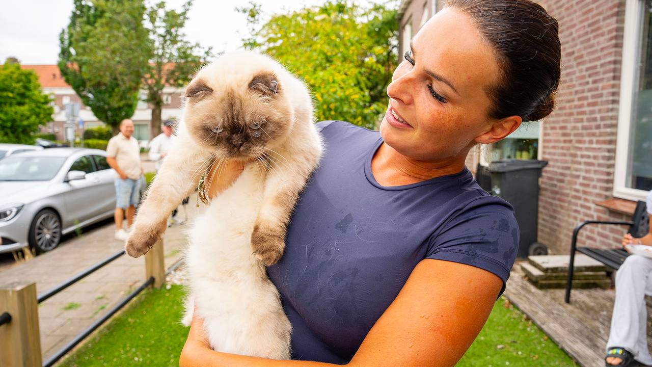 Kat Fendi na zijn redding (foto: Gabor Heeres/SQ Vision).