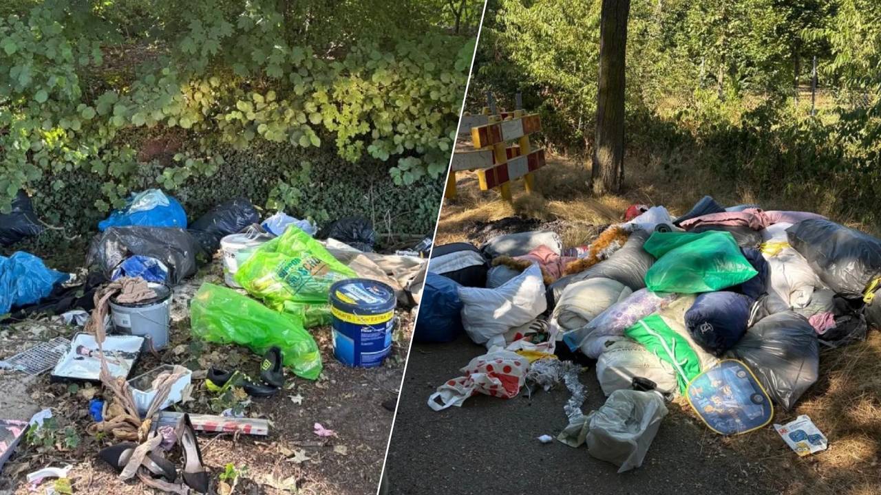 Twee gevallen van illegale afvaldumpingen in de bossen in de gemeente Oss. (Foto: Groenebrigade / Instagram.)