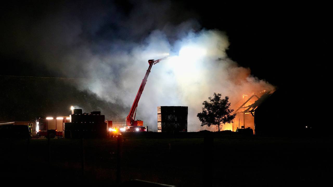 Brand verwoest loods bij boerderij in Willemstad