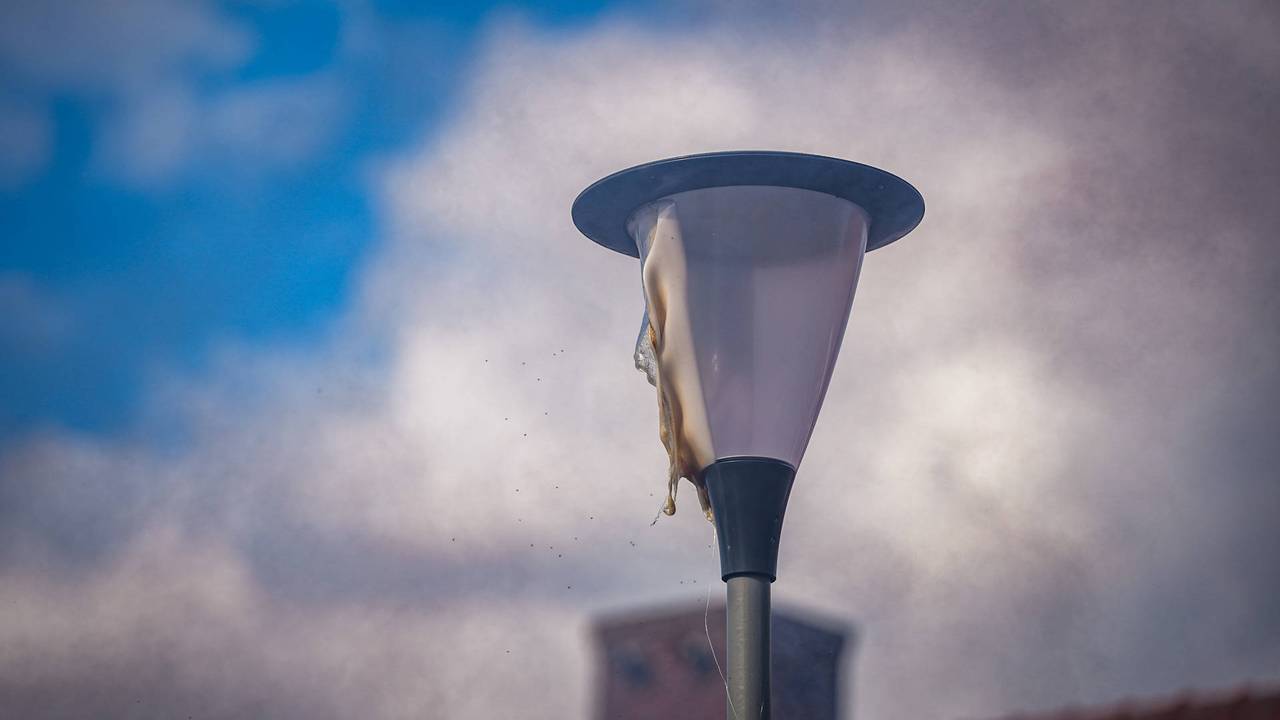 Foto: Persbureau Heitink.