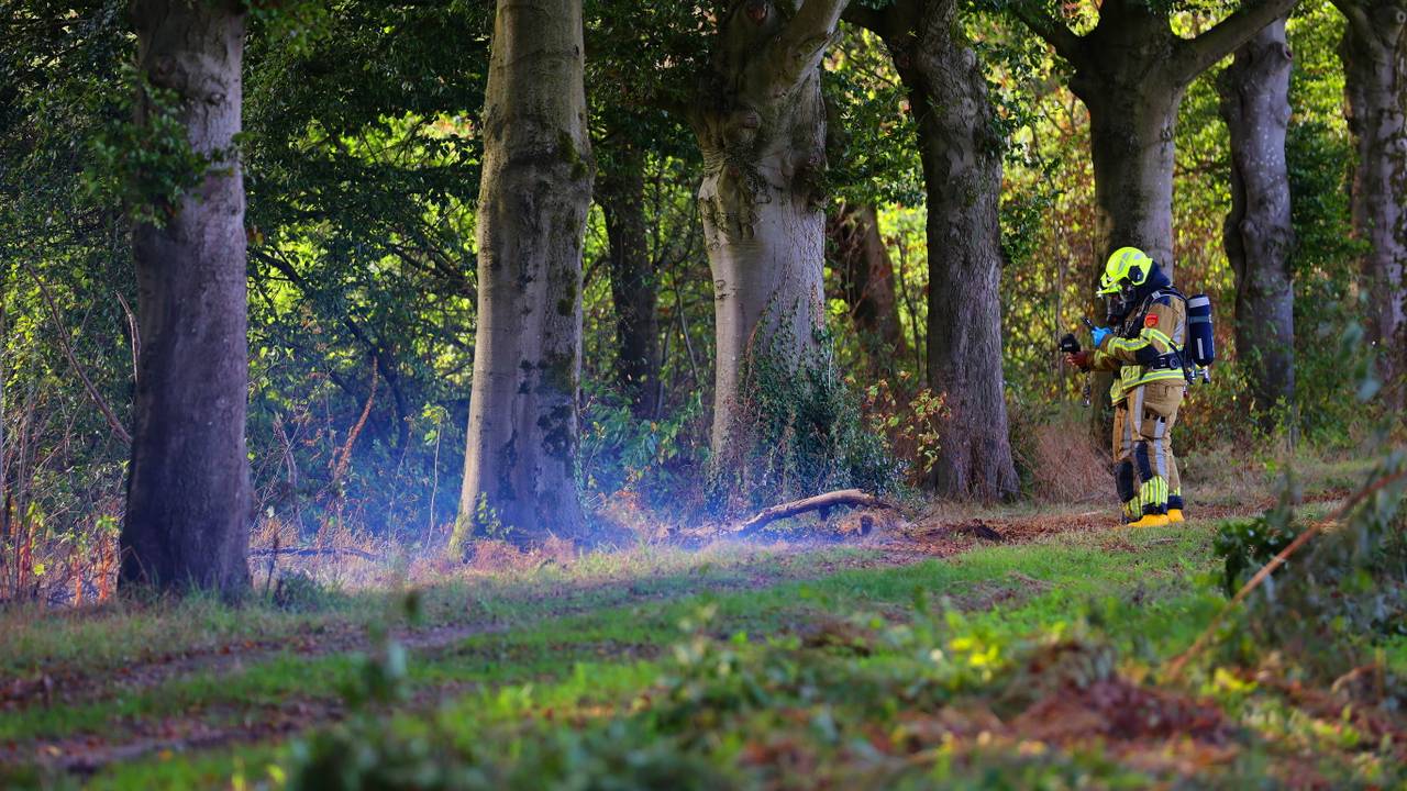 Foto: Bart Meesters/Persbureau Heitink.