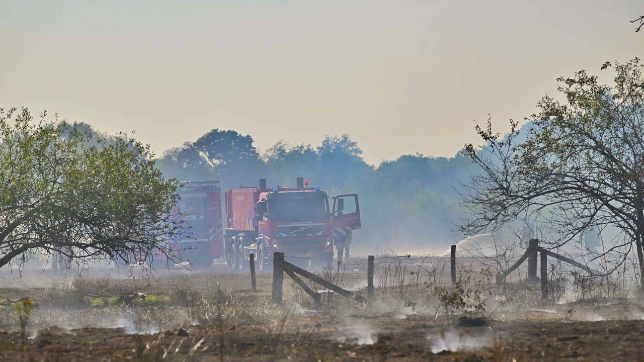 Foto: Rico Vogels/Persbureau Heitink.