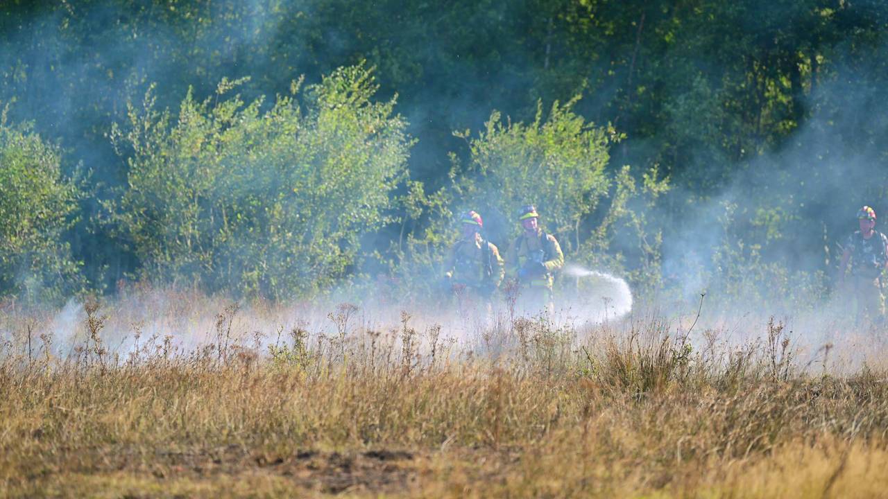 Foto: Rico Vogels/Persbureau Heitink.