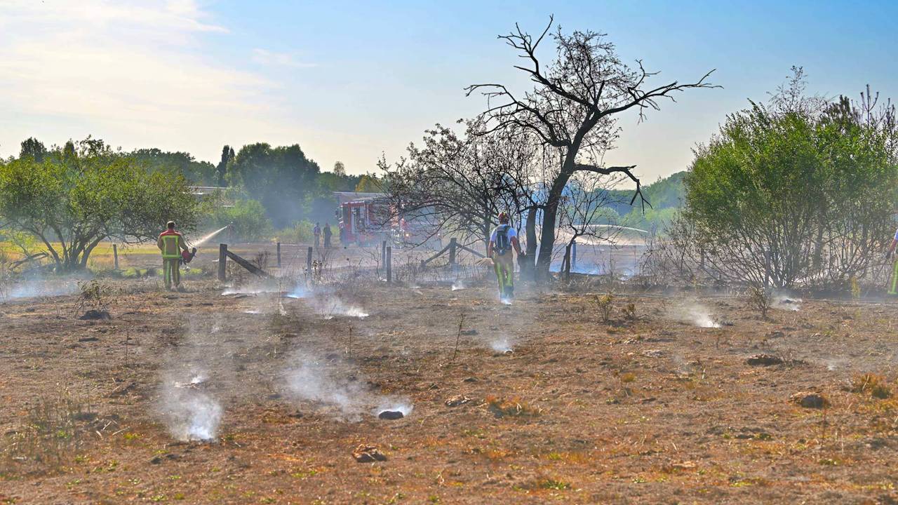 Foto: Rico Vogels/Persbureau Heitink.