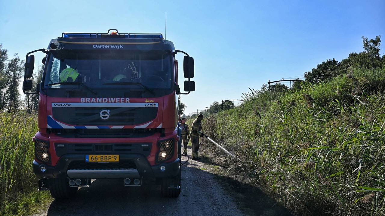 Foto: Toby de Kort/Persbureau Heitink.