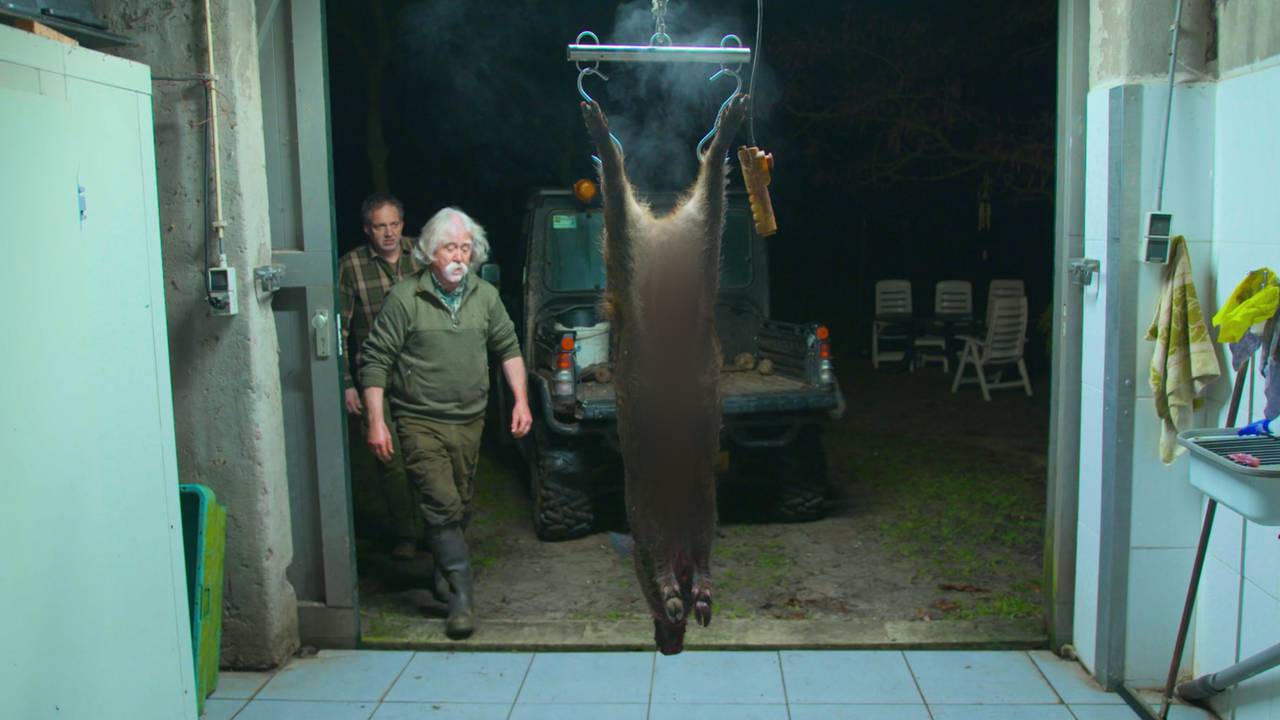 Jager Jan (73) slacht wild zwijn in garage: 'Heb er al 500 doodgeschoten'