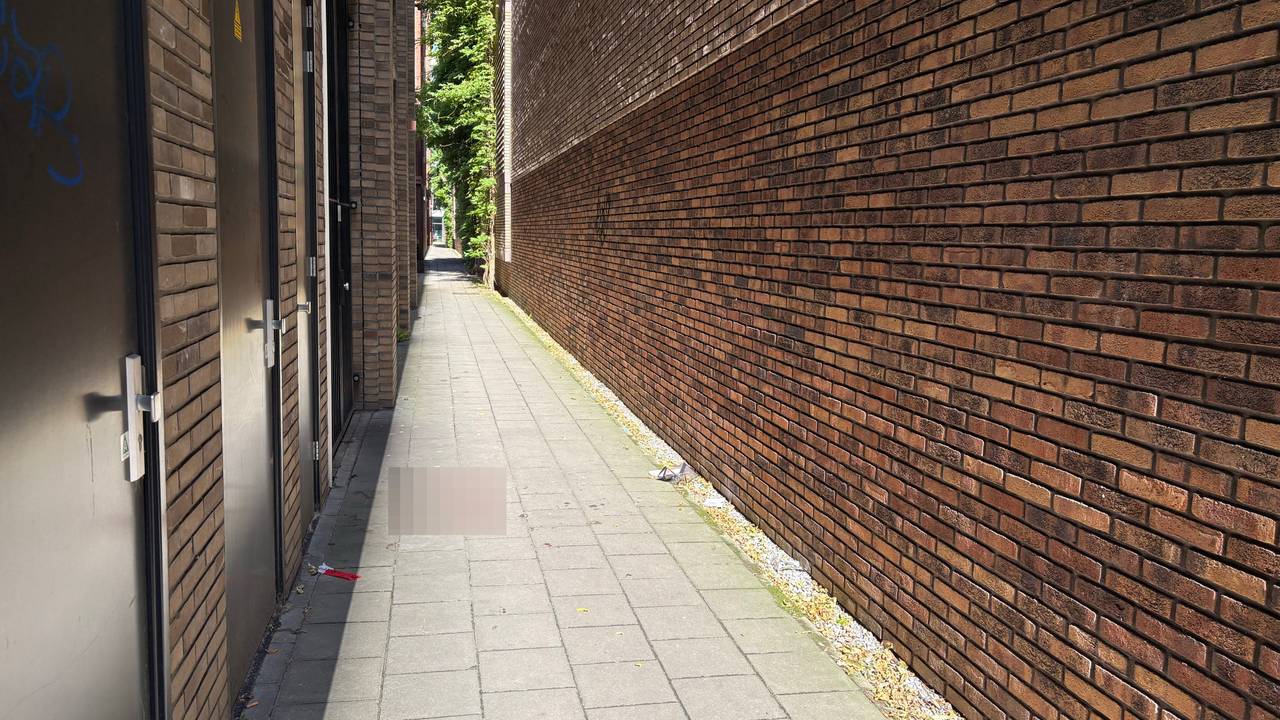 De steeg waar de vrouw zwaargewond gevonden is (foto: Omroep Brabant).