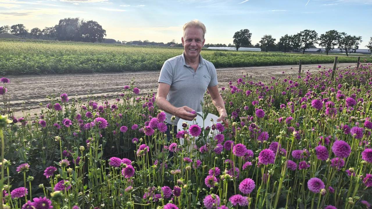 Frank op het bloemenveld van zijn buurtschap Wernhout (eigen foto).