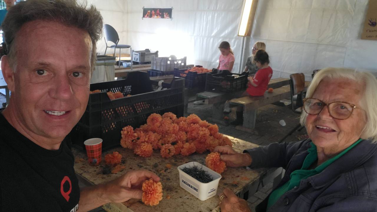 Frank en zijn moeder in de weer met dahlia's (eigen foto).
