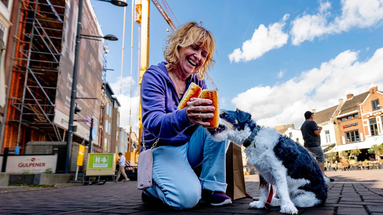 Ook hondjes weten wel wat lekker is! (foto: Marcel van Dorst/Eye4images).