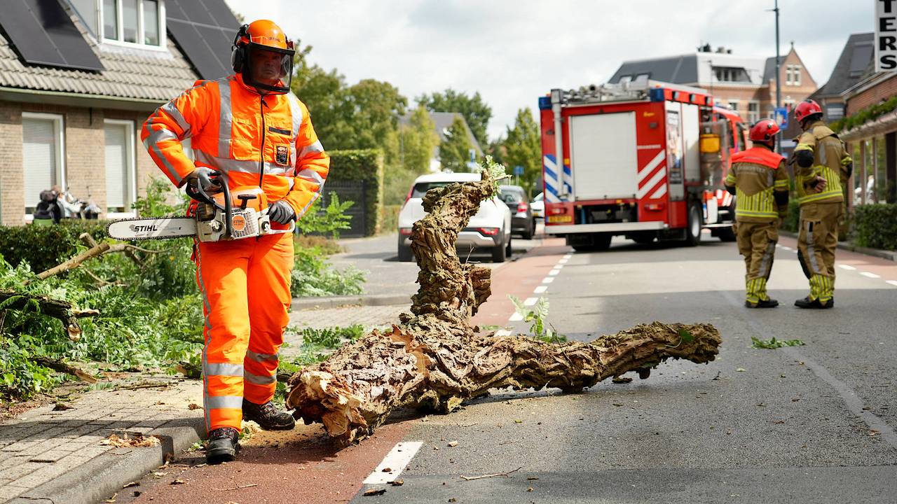 Foto: Jeroen Stuve/Persbureau Heitink.
