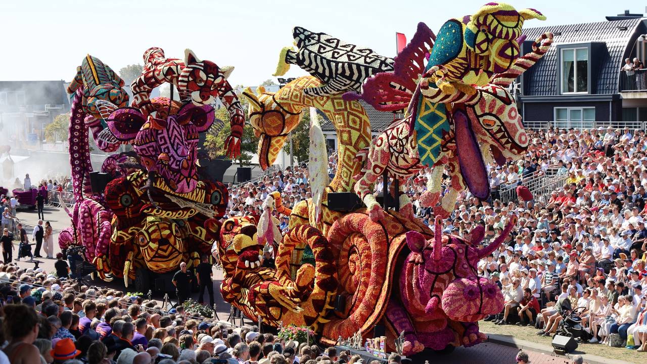 Bloemencorso Zundert 2025 (foto: Erwin Martens / Archief Corso Zundert).