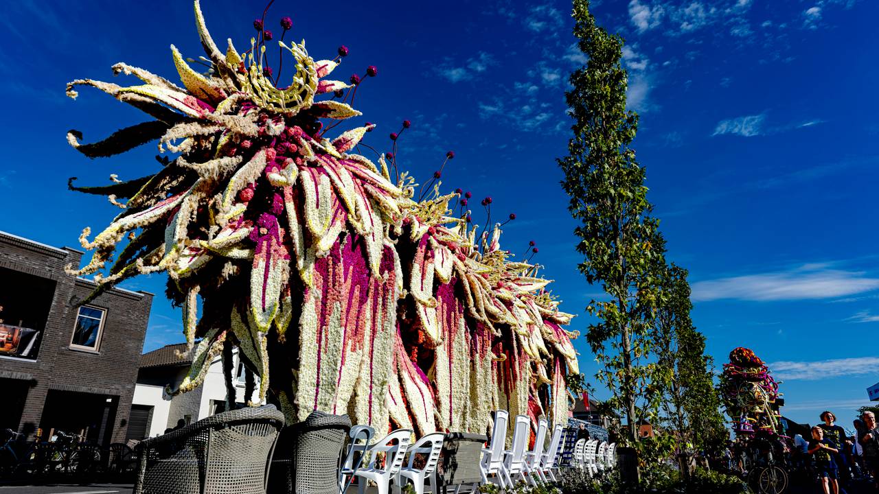 Buurtschap Schijf met Is It Alive (foto: Marcel van Dorst / Eye4images).